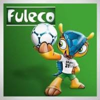 /album/galeria-de-fotos-buscadores/brasil-fuleco-jpg1/
